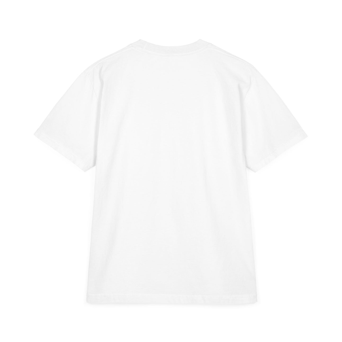 'PARK DUCKS' - TEE