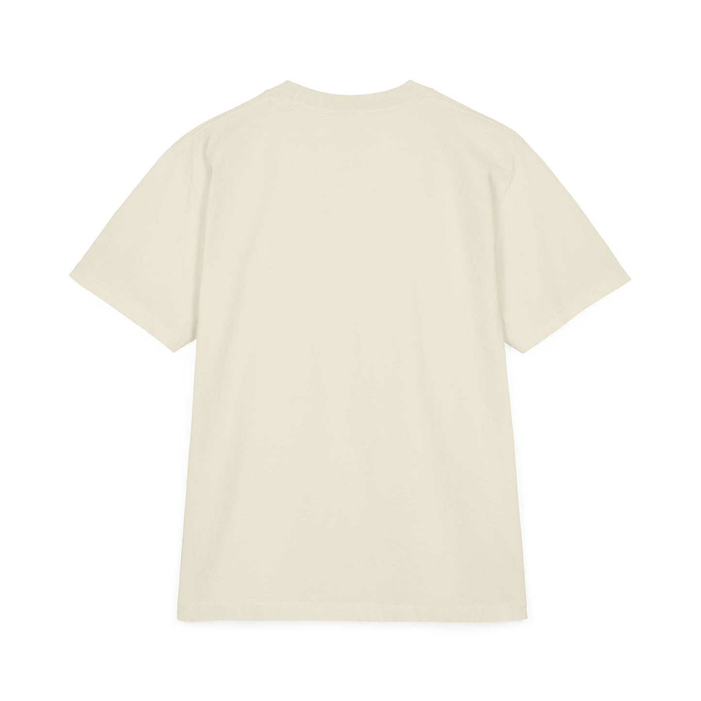 'HALLOWEEN PARK DUCKS' - OVERSIZED TEE
