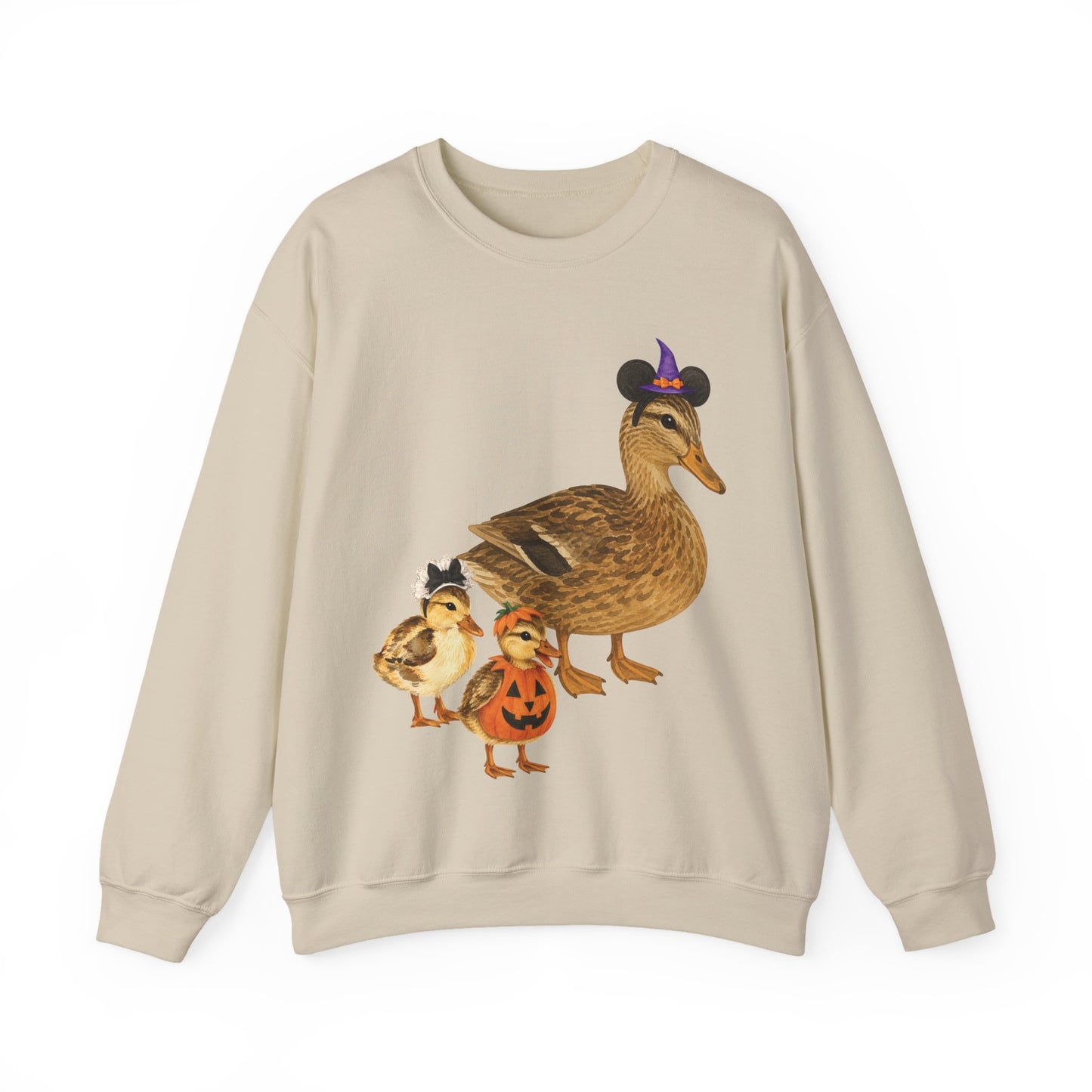 'HALLOWEEN PARK DUCKS' - SWEATSHIRT