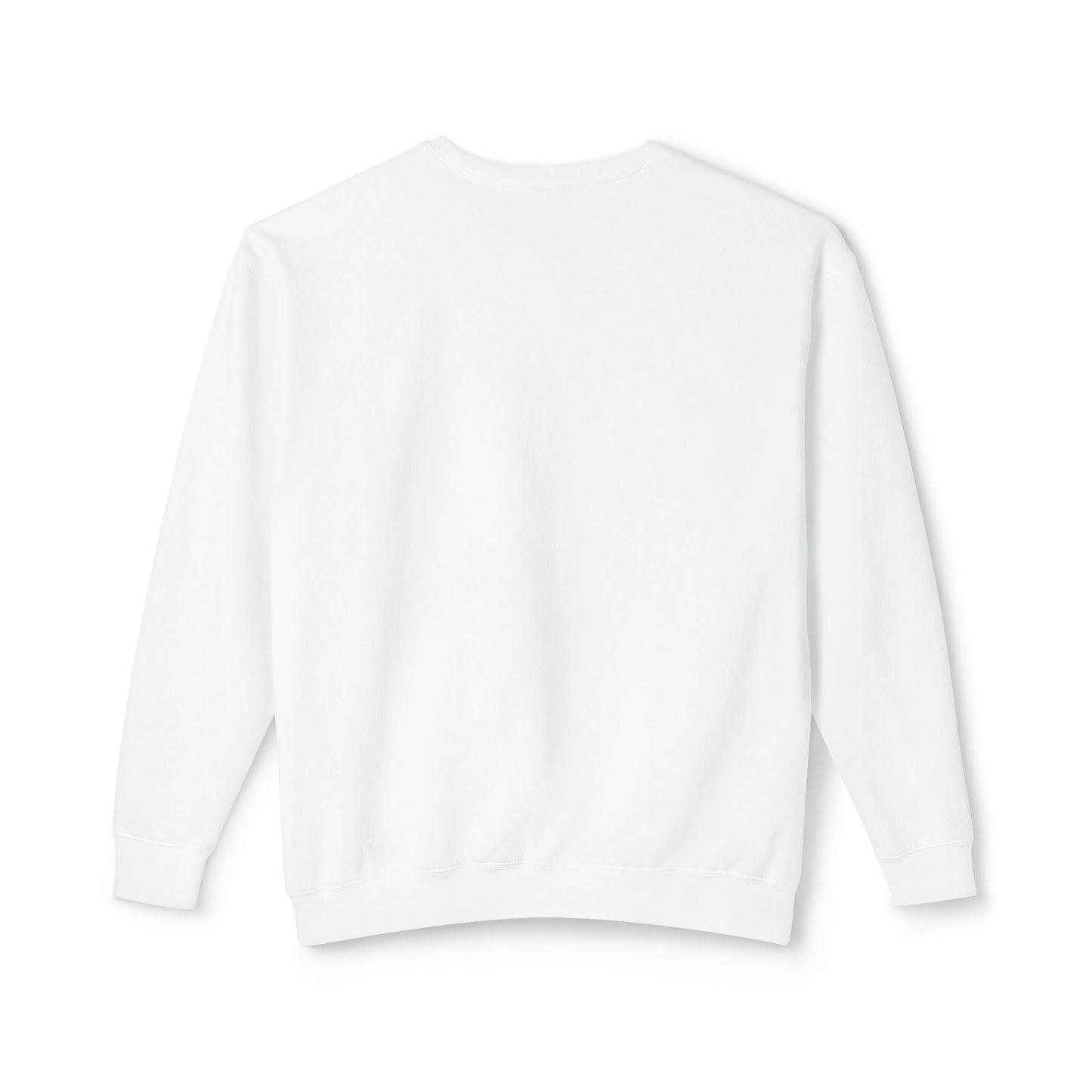 'PARK DUCKS' - SWEATSHIRT